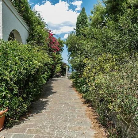 公寓 Guesthost - Bright With View! *