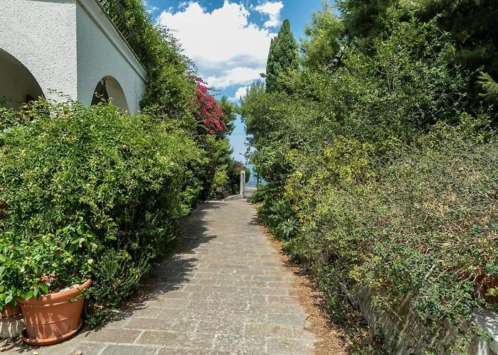 Daire Guesthost - Bright With View! *